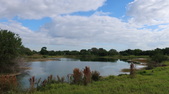 Enlarge photo 74