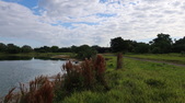 Enlarge photo 75
