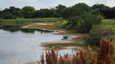 Enlarge photo 76
