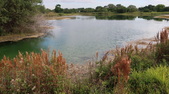 Enlarge photo 77