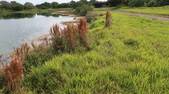Enlarge photo 78