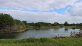 Enlarge photo 79