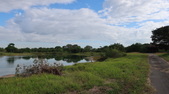 Enlarge photo 80