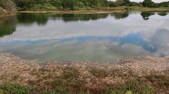 Enlarge photo 83
