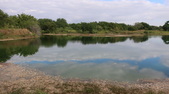 Enlarge photo 85