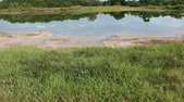 Enlarge photo 87