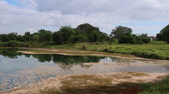 Enlarge photo 90