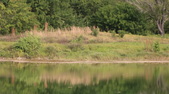 Enlarge photo 91