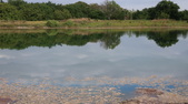 Enlarge photo 92