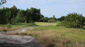 Enlarge photo 93