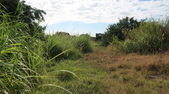 Enlarge photo 95