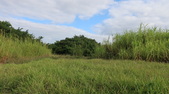 Enlarge photo 96
