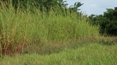 Enlarge photo 97