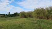 Enlarge photo 98