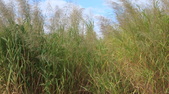 Enlarge photo 100