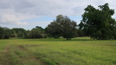 Enlarge photo 102
