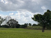 Enlarge photo 103