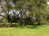 Enlarge photo 106