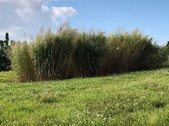 Enlarge photo 108