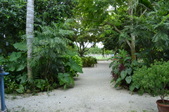 Enlarge photo 40