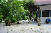 Enlarge photo 42