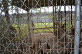 Enlarge photo 43