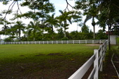 Enlarge photo 44