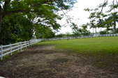 Enlarge photo 45