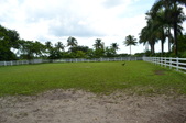 Enlarge photo 47