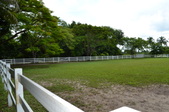 Enlarge photo 48