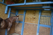 Enlarge photo 49