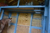 Enlarge photo 51