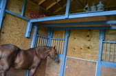 Enlarge photo 52