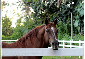 Enlarge photo 60