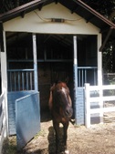 Enlarge photo 59