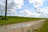 Enlarge photo 35