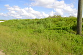 Enlarge photo 38