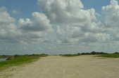 Enlarge photo 41