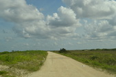 Enlarge photo 42