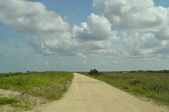 Enlarge photo 43