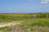 Enlarge photo 45
