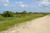 Enlarge photo 46