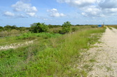 Enlarge photo 47