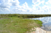 Enlarge photo 49