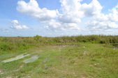 Enlarge photo 50