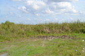 Enlarge photo 51