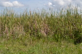 Enlarge photo 53