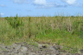 Enlarge photo 54