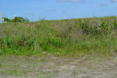 Enlarge photo 55