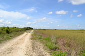 Enlarge photo 61